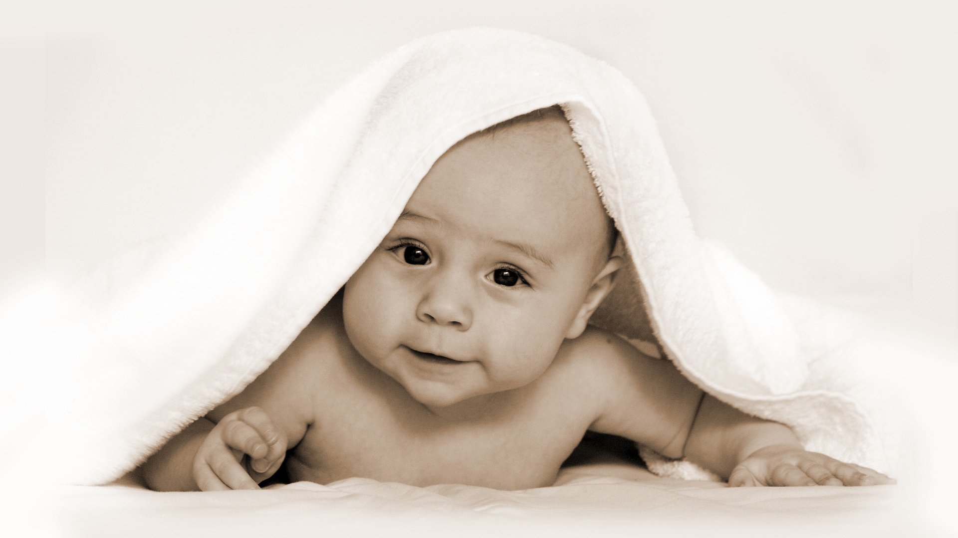 潍坊捐卵机构联系方式年龄与试管婴儿成功率